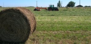 Fauchage et Foin Ferme des Bouviers