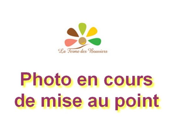 Image indiquant que la photo est en cours de mise au point avec le logo de La Ferme des Bouviers