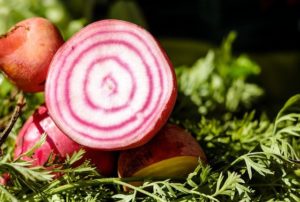 Betterave Chioggia - La Ferme des Bouviers