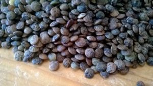 Lentilles