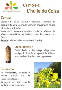 Les Fiches FdB : le Colza - La Ferme des Bouviers