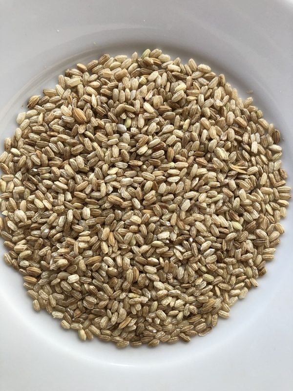 RIZ 2020 trié grains - La Ferme des Bouviers