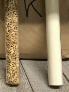 Khorasaon Graines et Farine - La Ferme des Bouviers